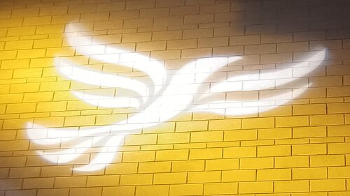 Lib Dem logo bird projected on blockwork