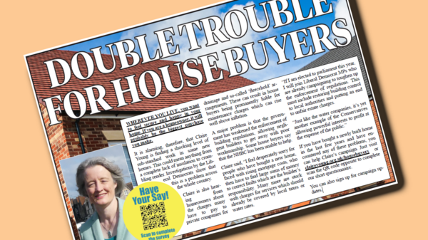 Claire Young's House Buyers' Survey