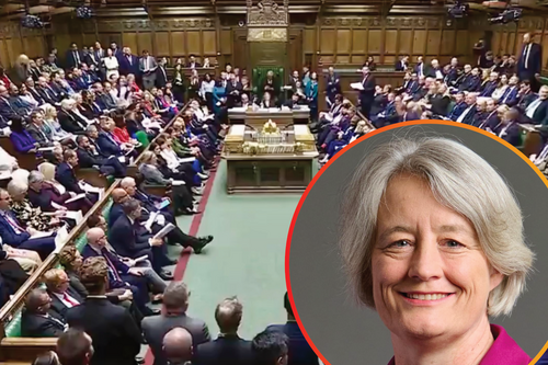 Claire Young over an image of a sitting House of Commons